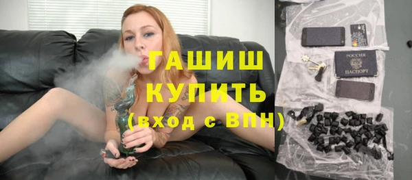 индика Балахна
