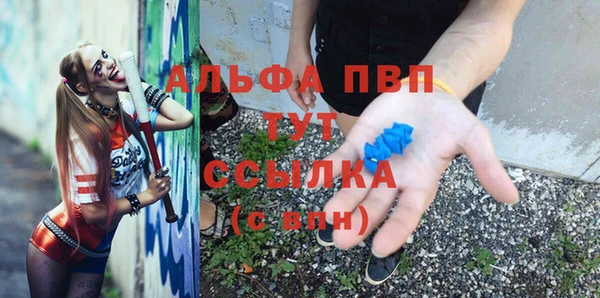 индика Балахна