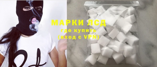 индика Балахна
