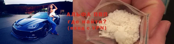 индика Балахна
