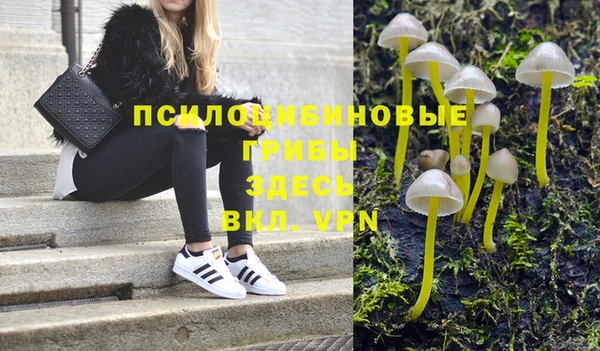 ECSTASY Баксан