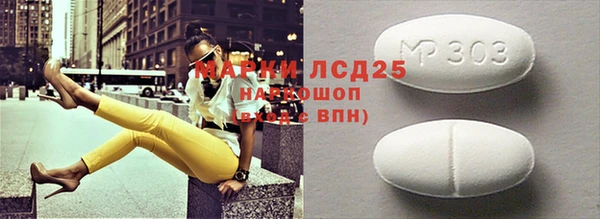 индика Струнино